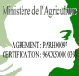 cliquer pour agrandir